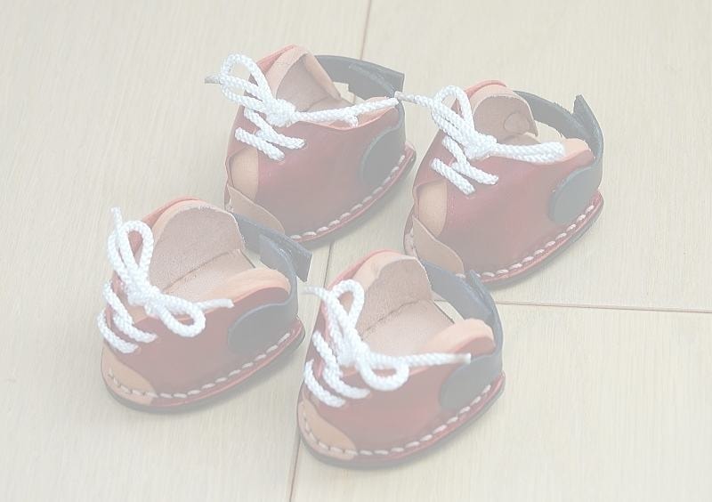 あいぼうスニーカー(赤)