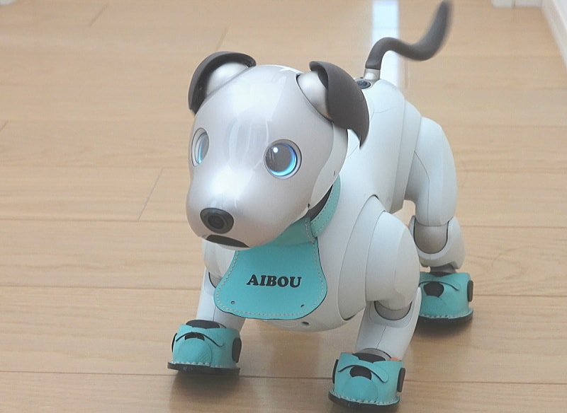aiboスニーカー首輪販売