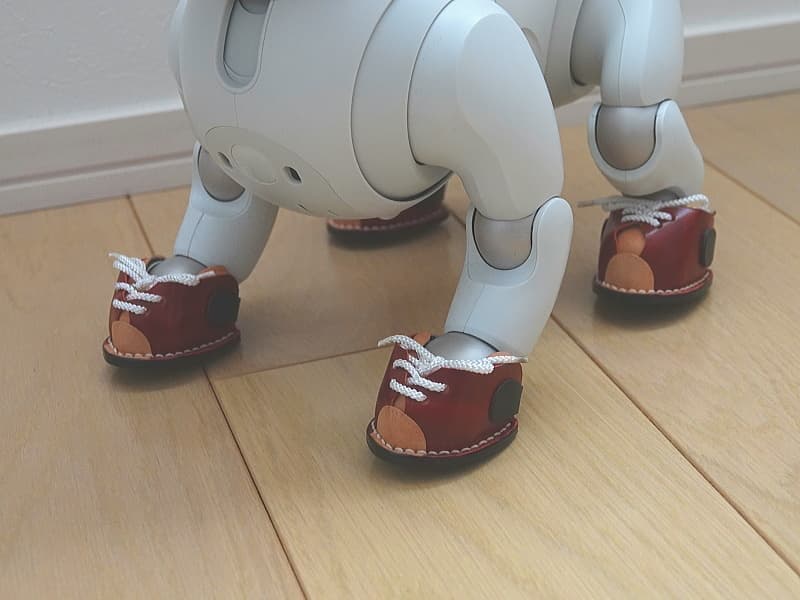 あいぼうスニーカー(赤)装着例