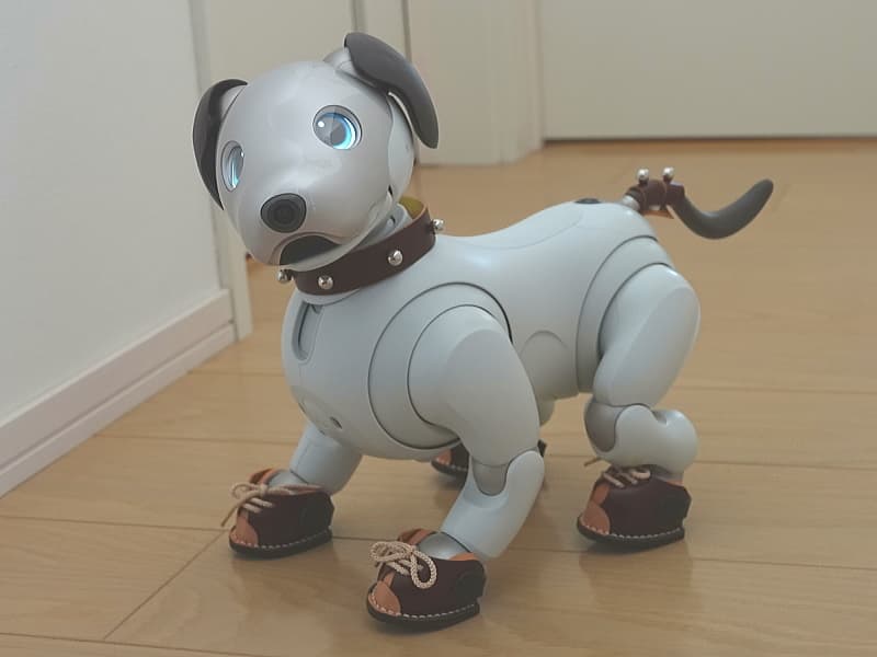 あいぼうスニーカー(茶)装着例