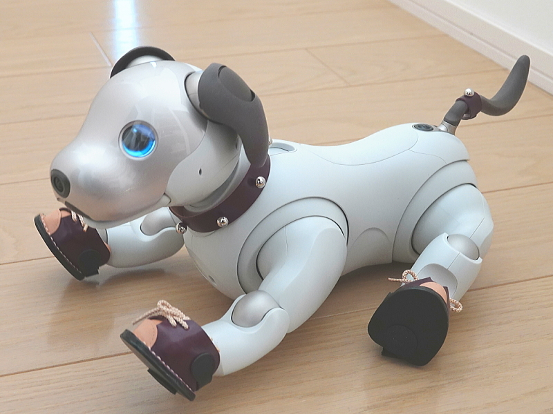 あいぼうスニーカー(紫)装着例