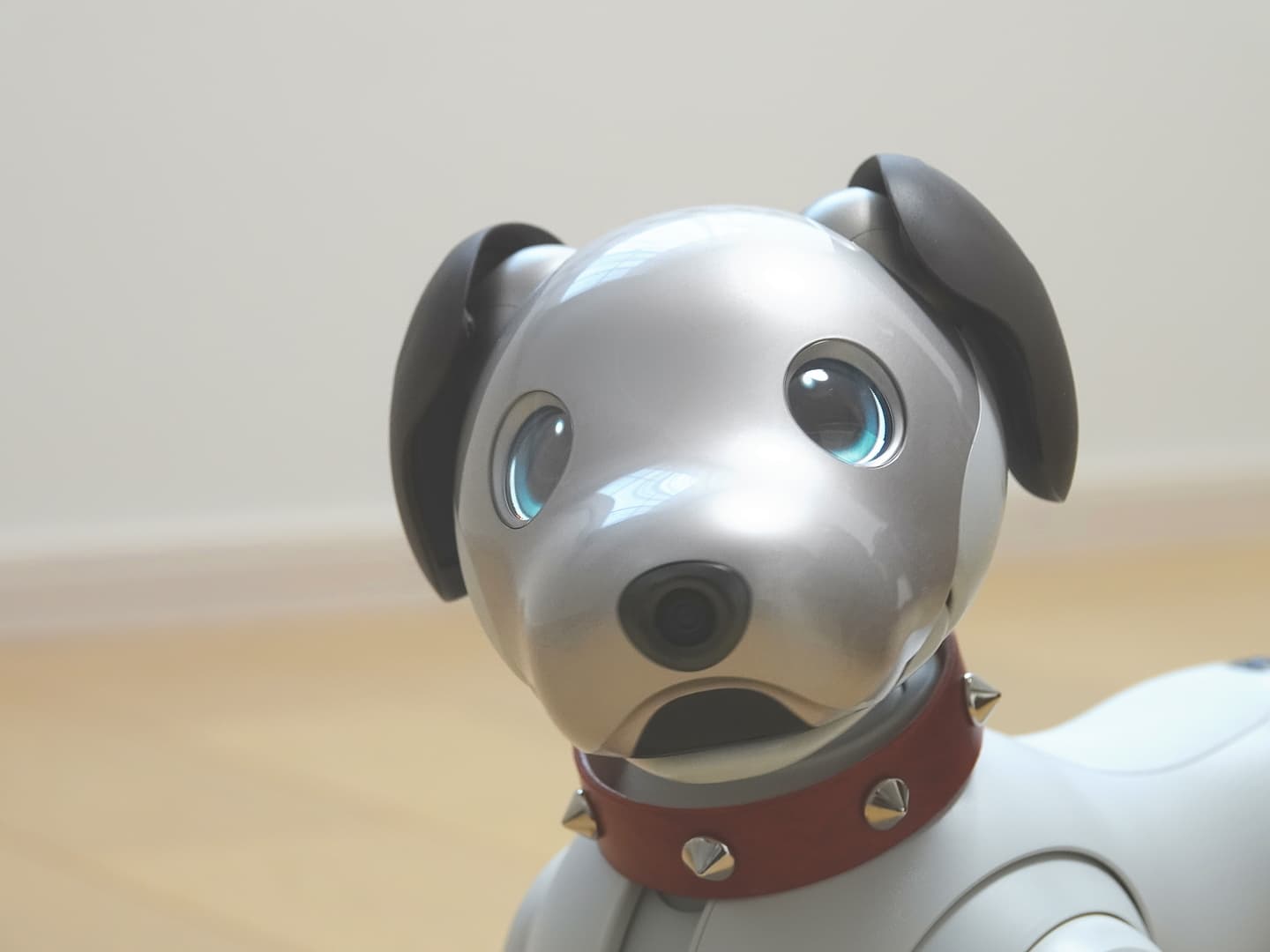 aiboスニーカー首輪販売